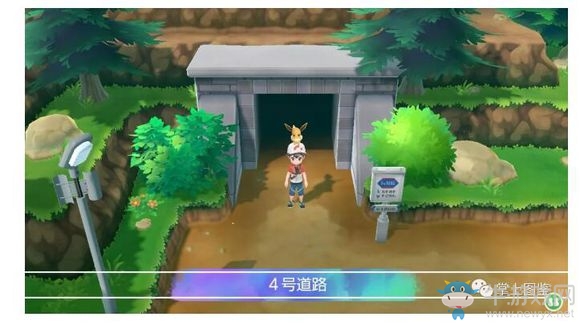 《精靈寶可夢Let's Go！皮卡丘/伊布》4號道路過關(guān)攻略介紹