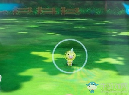 《精靈寶可夢Let's Go！皮卡丘/伊布》閃大針蜂捕捉技巧