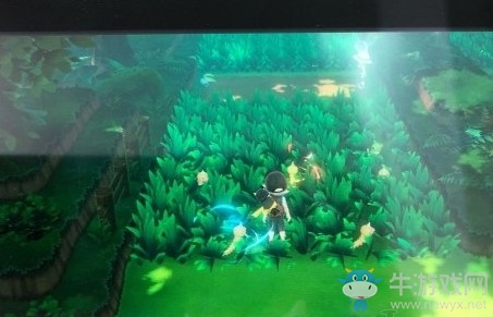 《精靈寶可夢Let's Go！皮卡丘/伊布》閃大針蜂捕捉技巧