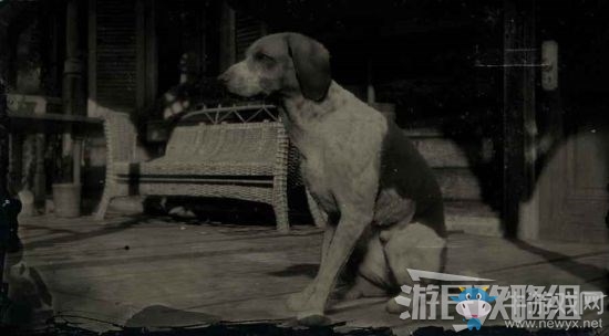 《荒野大鏢客2》全動(dòng)物位置及狩獵方法大全