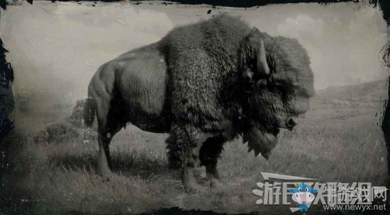 《荒野大鏢客2》全動物位置及狩獵方法大全