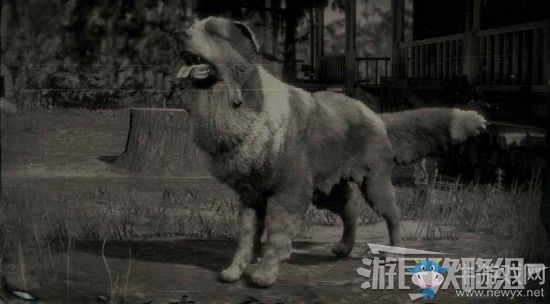 《荒野大鏢客2》全動物位置及狩獵方法大全