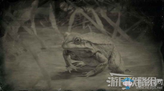 《荒野大鏢客2》全動(dòng)物位置及狩獵方法大全