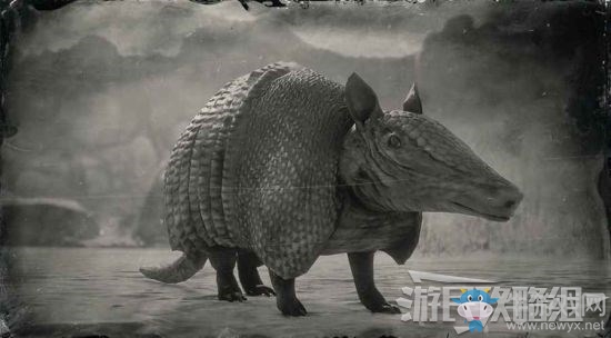 《荒野大鏢客2》全動物位置及狩獵方法大全