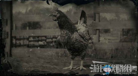 《荒野大鏢客2》全動物位置及狩獵方法大全