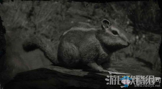 《荒野大鏢客2》全動(dòng)物位置及狩獵方法大全