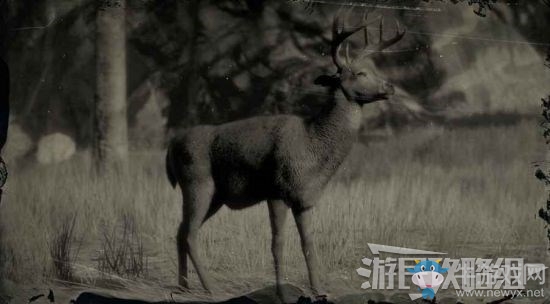《荒野大鏢客2》全動物位置及狩獵方法大全