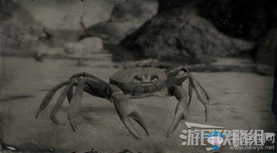 《荒野大鏢客2》全動物位置及狩獵方法大全