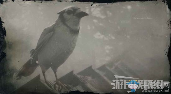 《荒野大鏢客2》全動(dòng)物位置及狩獵方法大全