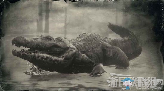 《荒野大鏢客2》全動物位置及狩獵方法大全