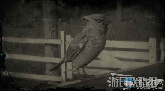 《荒野大鏢客2》全動物位置及狩獵方法大全