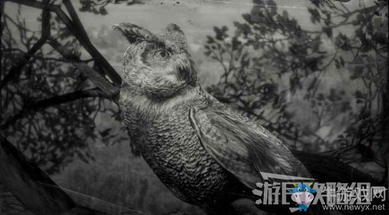 《荒野大鏢客2》全動(dòng)物位置及狩獵方法大全