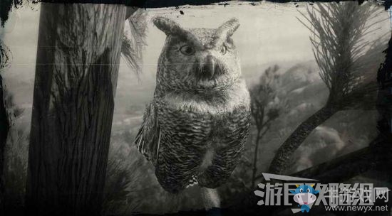 《荒野大鏢客2》全動(dòng)物位置及狩獵方法大全