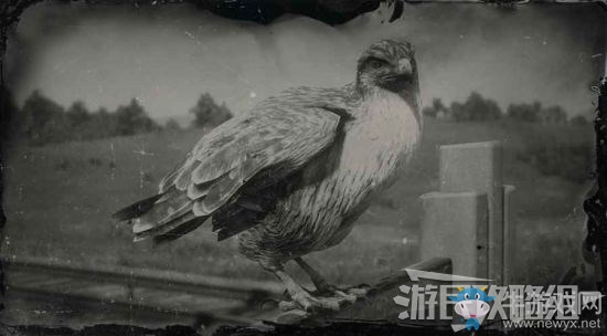 《荒野大鏢客2》全動物位置及狩獵方法大全
