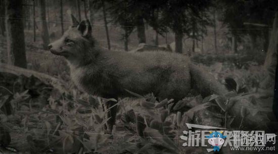 《荒野大鏢客2》全動物位置及狩獵方法大全