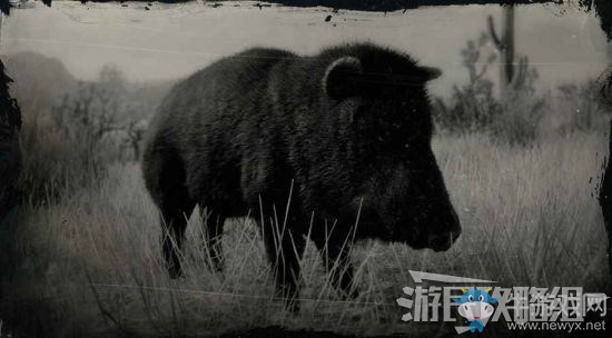 《荒野大鏢客2》全動物位置及狩獵方法大全