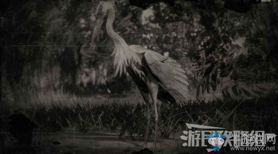 《荒野大鏢客2》全動物位置及狩獵方法大全
