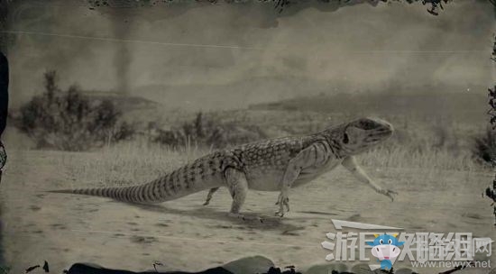 《荒野大鏢客2》全動(dòng)物位置及狩獵方法大全