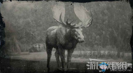 《荒野大鏢客2》全動物位置及狩獵方法大全