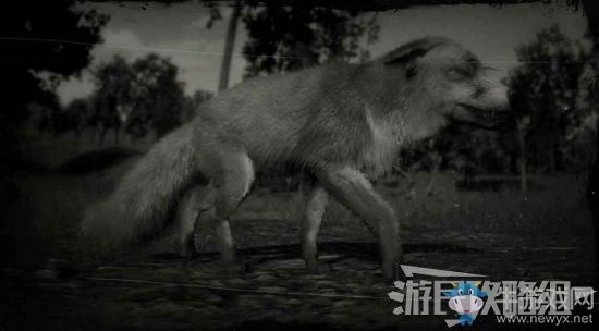 《荒野大鏢客2》全動(dòng)物位置及狩獵方法大全