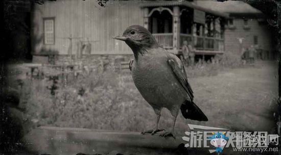《荒野大鏢客2》全動(dòng)物位置及狩獵方法大全