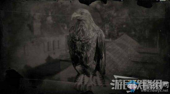 《荒野大鏢客2》全動物位置及狩獵方法大全