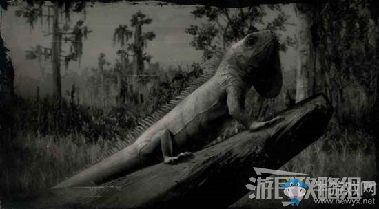 《荒野大鏢客2》全動物位置及狩獵方法大全