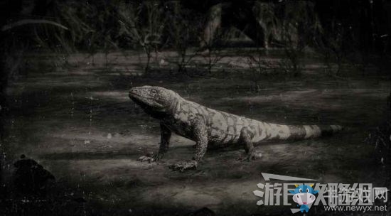 《荒野大鏢客2》全動物位置及狩獵方法大全