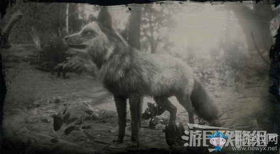 《荒野大鏢客2》全動物位置及狩獵方法大全