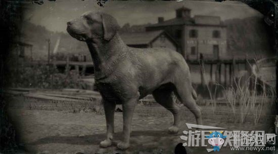 《荒野大鏢客2》全動(dòng)物位置及狩獵方法大全