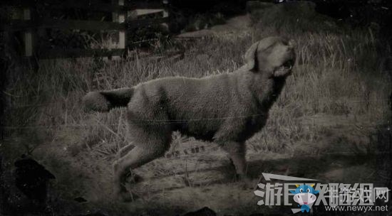 《荒野大鏢客2》全動物位置及狩獵方法大全