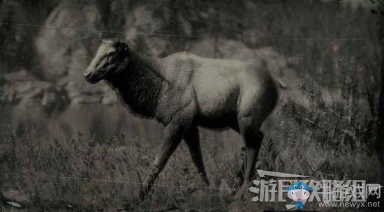 《荒野大鏢客2》全動(dòng)物位置及狩獵方法大全