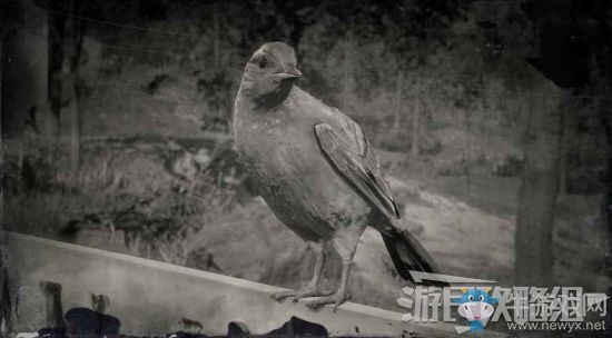 《荒野大鏢客2》全動物位置及狩獵方法大全