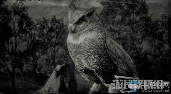 《荒野大鏢客2》全動物位置及狩獵方法大全