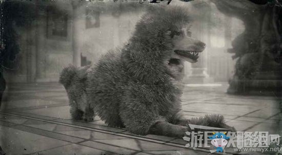 《荒野大鏢客2》全動物位置及狩獵方法大全