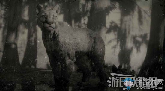 《荒野大鏢客2》全動物位置及狩獵方法大全