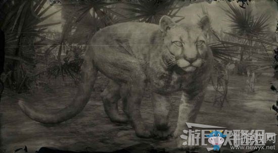 《荒野大鏢客2》全動物位置及狩獵方法大全