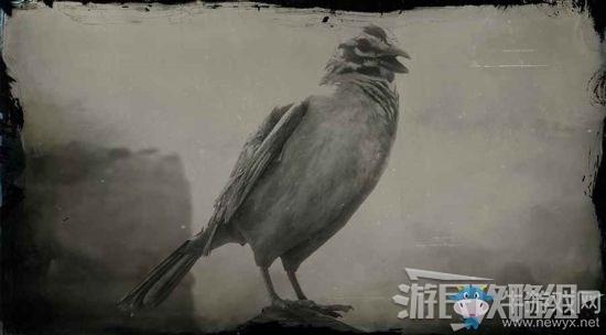 《荒野大鏢客2》全動(dòng)物位置及狩獵方法大全