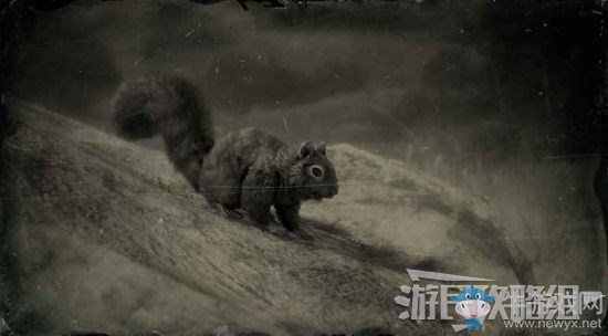 《荒野大鏢客2》全動(dòng)物位置及狩獵方法大全