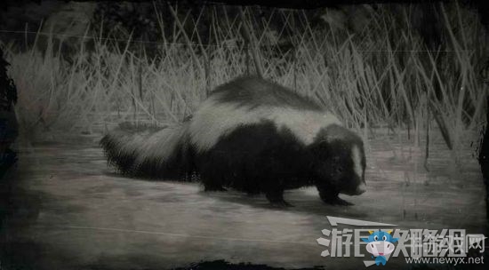 《荒野大鏢客2》全動物位置及狩獵方法大全