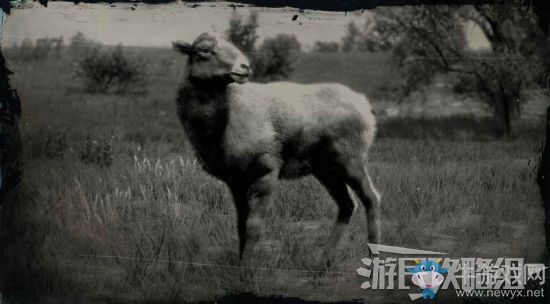 《荒野大鏢客2》全動(dòng)物位置及狩獵方法大全