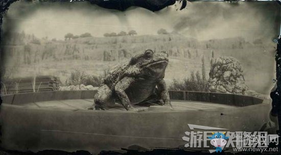 《荒野大鏢客2》全動(dòng)物位置及狩獵方法大全