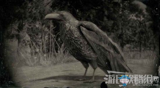 《荒野大鏢客2》全動物位置及狩獵方法大全