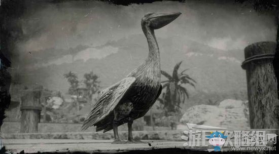 《荒野大鏢客2》全動(dòng)物位置及狩獵方法大全