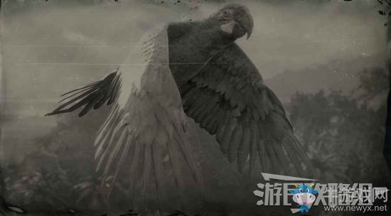 《荒野大鏢客2》全動物位置及狩獵方法大全