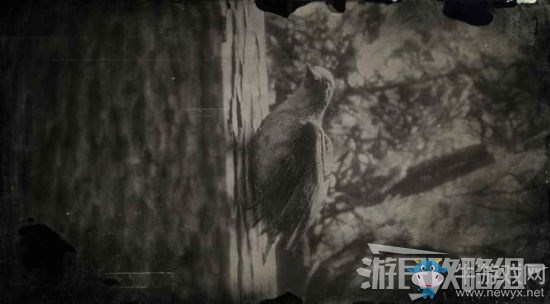 《荒野大鏢客2》全動(dòng)物位置及狩獵方法大全