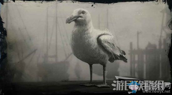 《荒野大鏢客2》全動(dòng)物位置及狩獵方法大全