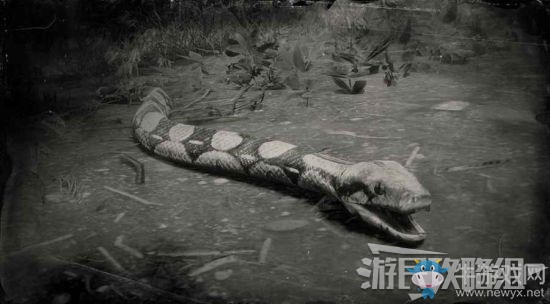 《荒野大鏢客2》全動物位置及狩獵方法大全