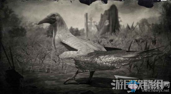 《荒野大鏢客2》全動(dòng)物位置及狩獵方法大全