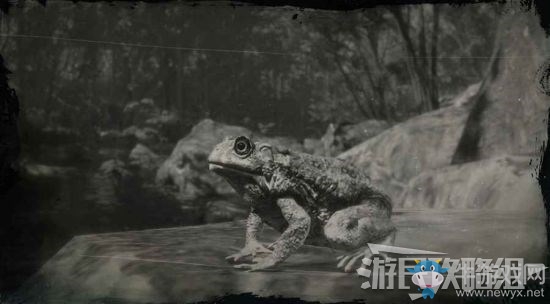 《荒野大鏢客2》全動(dòng)物位置及狩獵方法大全